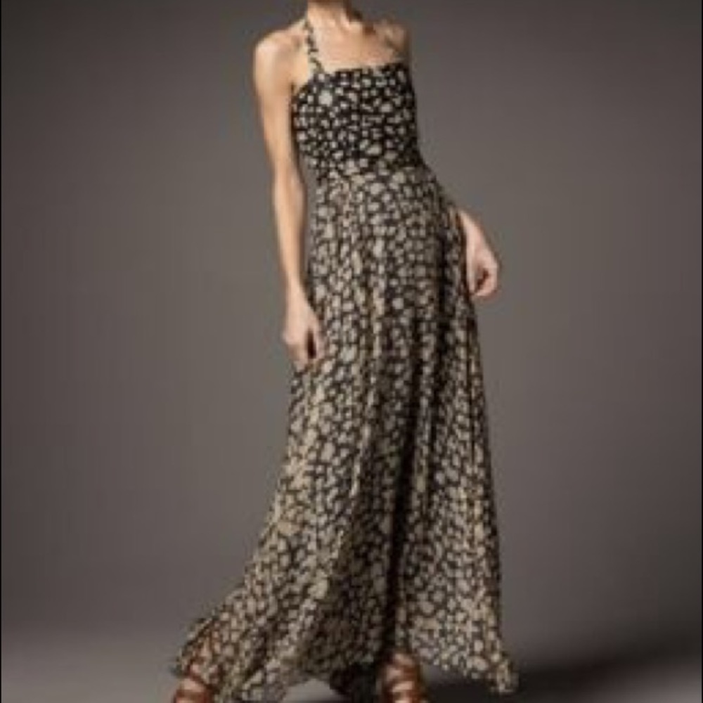 NWT Winter Kate Victoire Silk Chiffon Dress XS